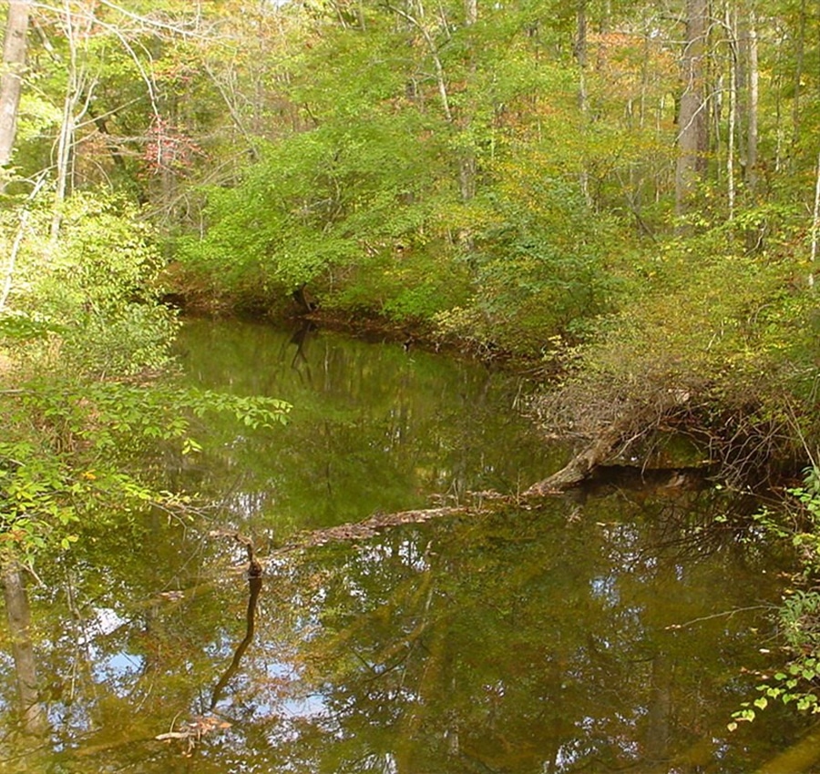 A Pond Next To A Body Of Water